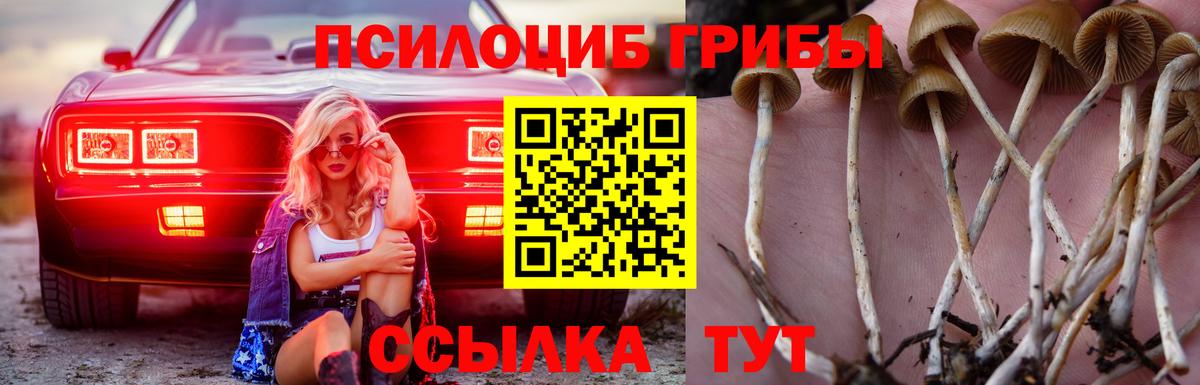 Псилоцибиновые грибы мухоморы  Вход с VPN  Владимир 