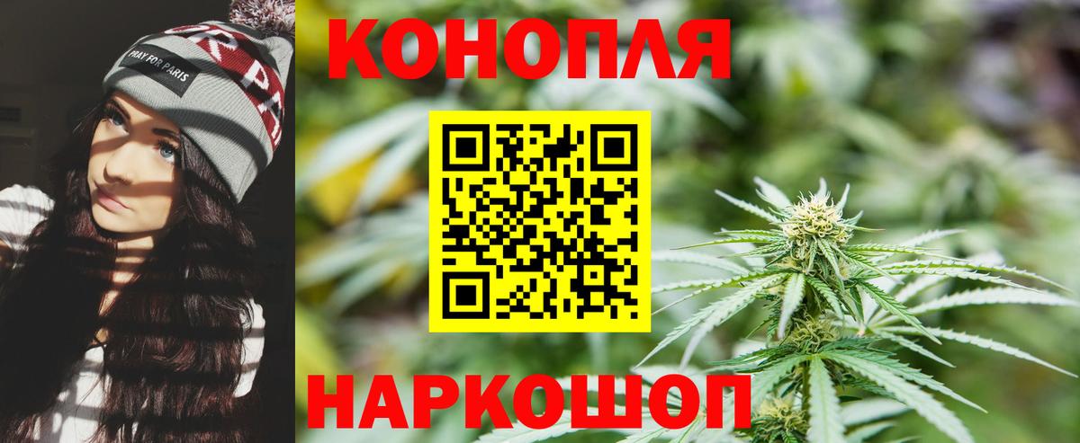 Бошки марихуана Bruce Banner Владимир