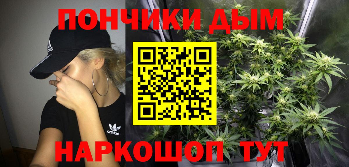 Бошки Шишки план  Вход с VPN  Шишки марихуана White Widow  Владимир  Бошки марихуана план 